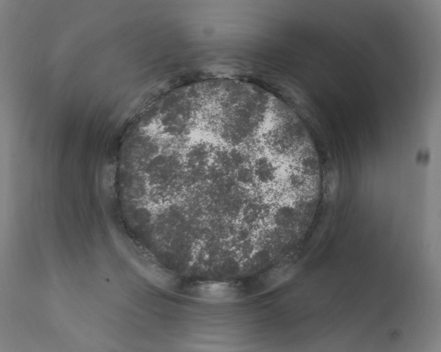 X0000110940365200907311022