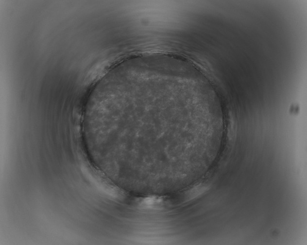 X0000110940366200907311022