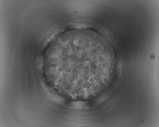 X0000110940367200907311022