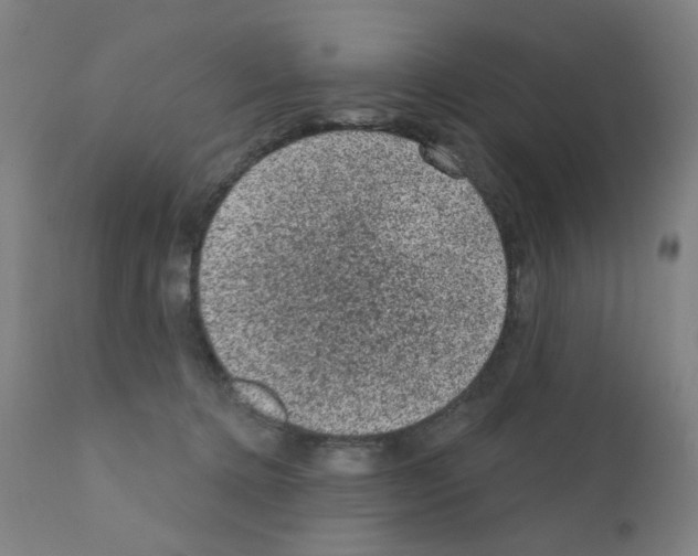 X0000110940368200907311022