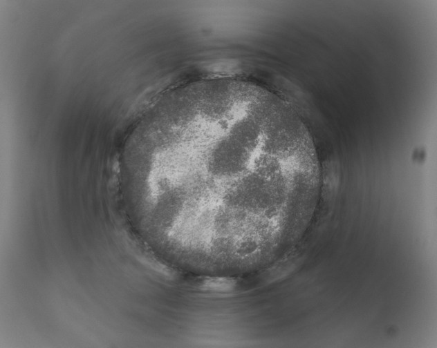 X0000110940369200907311022