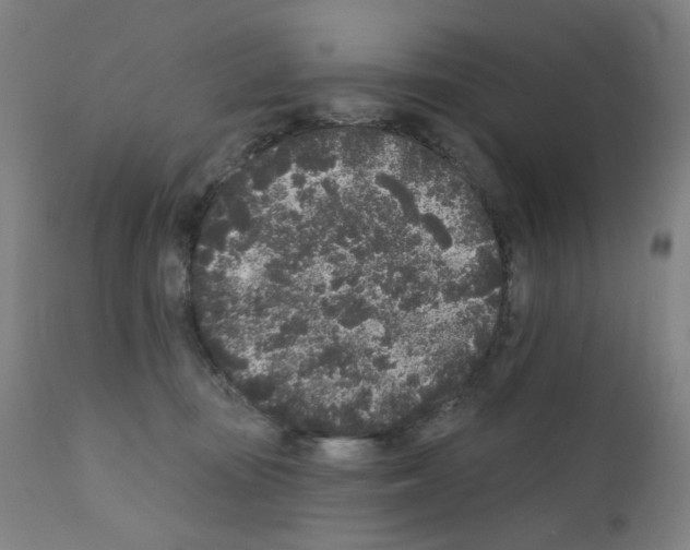 X0000110940371200907311022