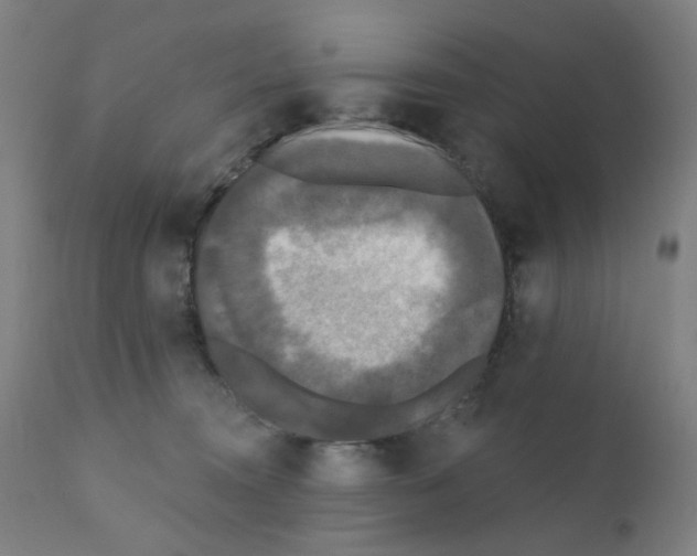 X0000110940372200907311022
