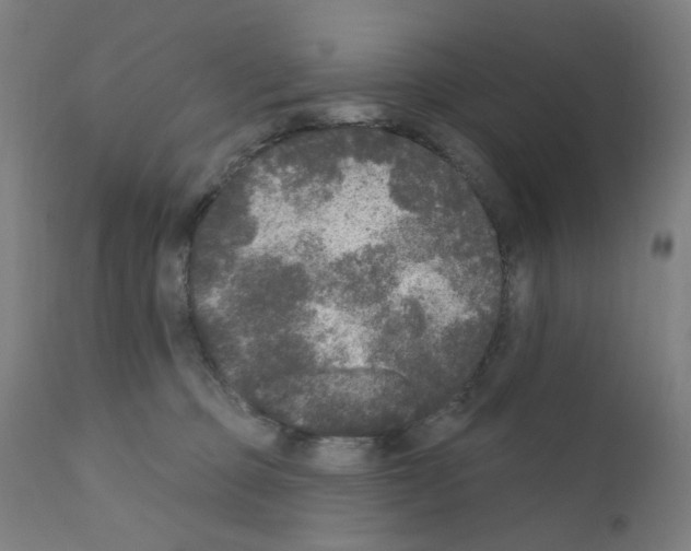 X0000110940373200907311022