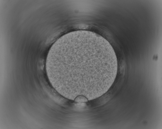 X0000110940374200907311022