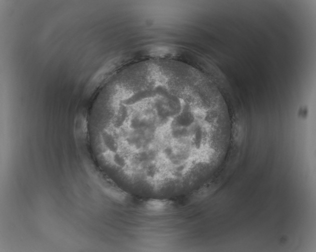 X0000110940375200907311022