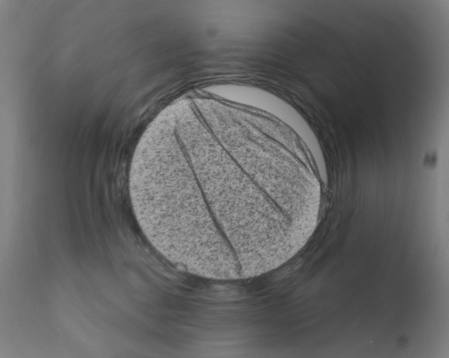 X0000110940376200907311022