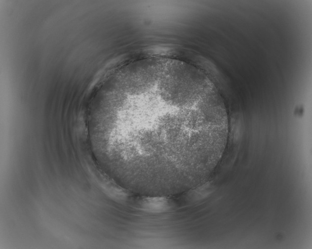 X0000110940377200907311022