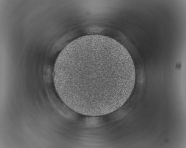 X0000110940378200907311022