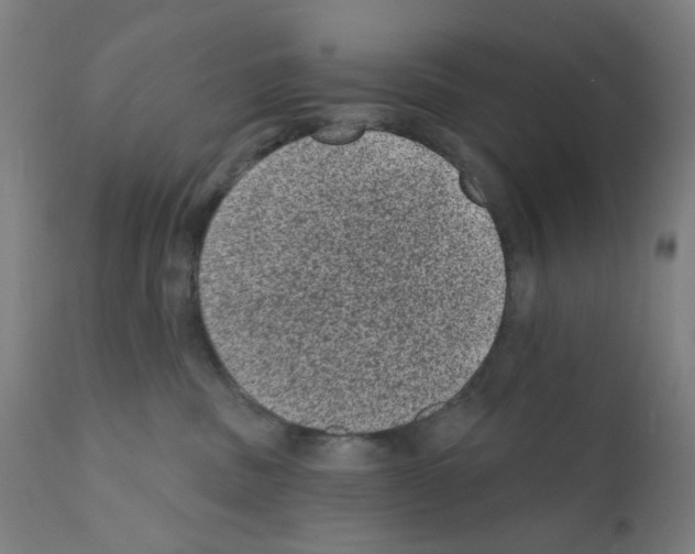 X0000110940379200907311022