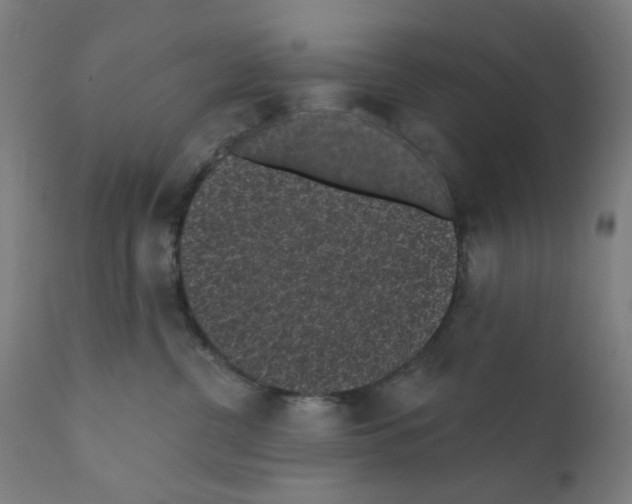 X0000110940380200907311022