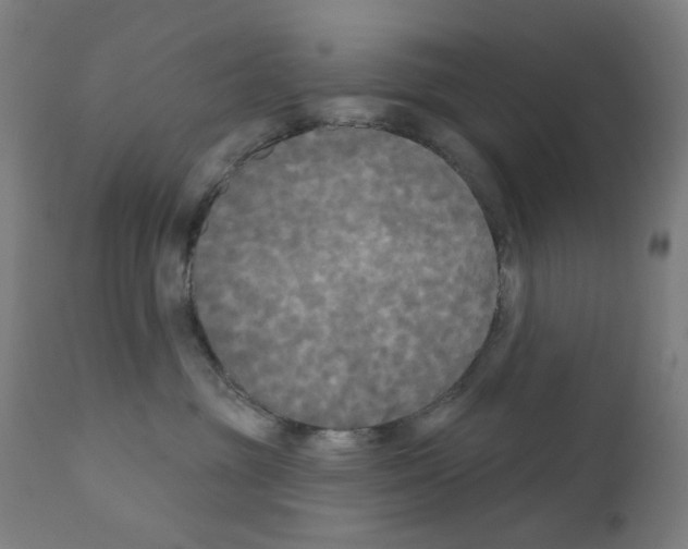 X0000110940381200907311022