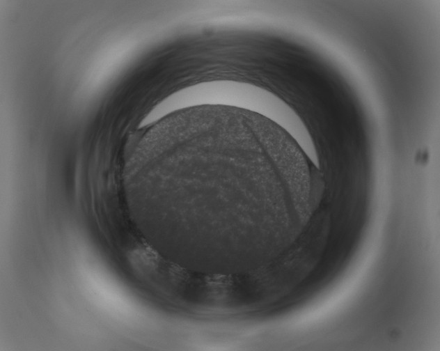 X0000110940382200907311022