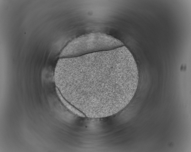 X0000110940384200907311022