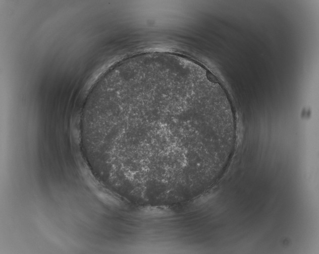 X0000110940386200907311022
