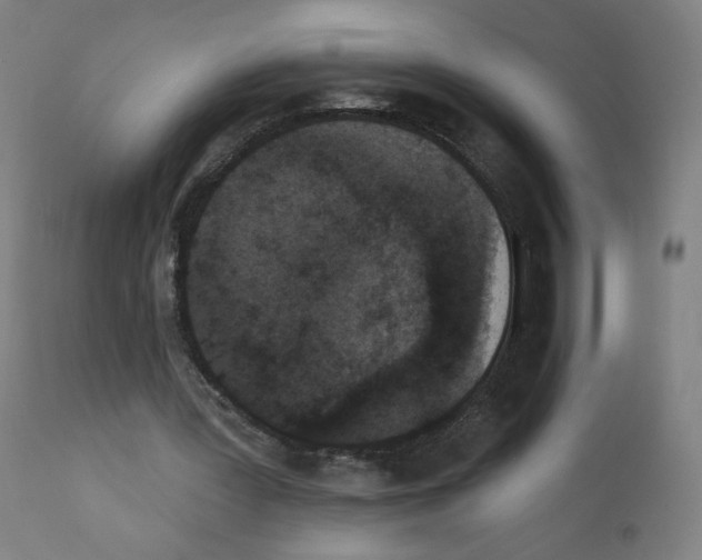 X0000110940387200907311022