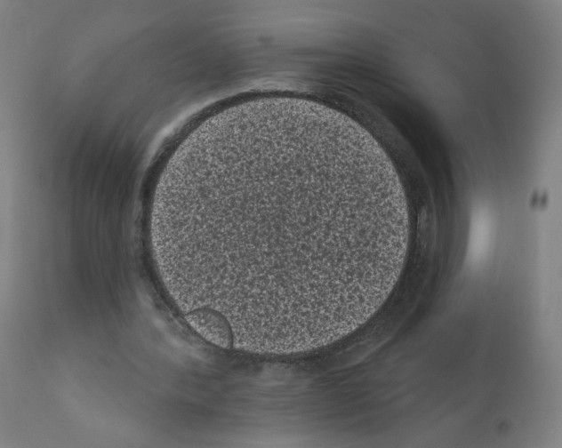 X0000110940388200907311022