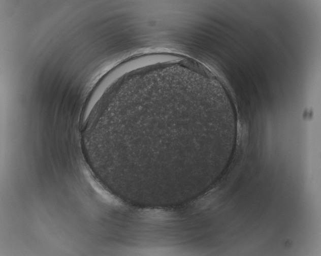 X0000110940389200907311022