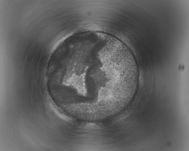 X0000110940390200907311022