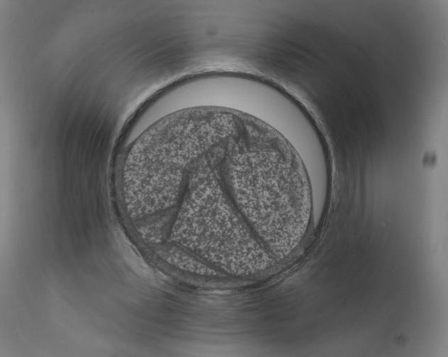X0000110940391200907311022