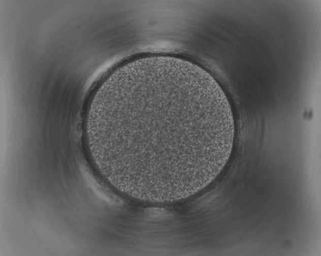 X0000110940392200907311022