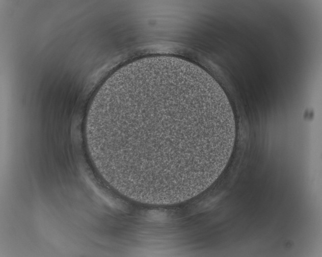 X0000110940394200907311022