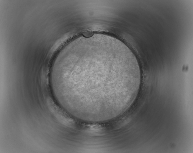 X0000110940395200907311022
