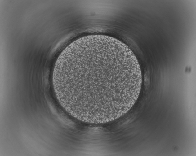 X0000110940396200907311022