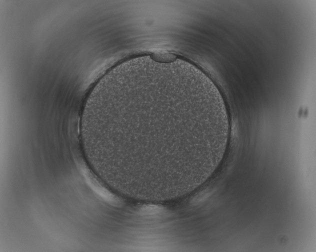 X0000110940397200907311022