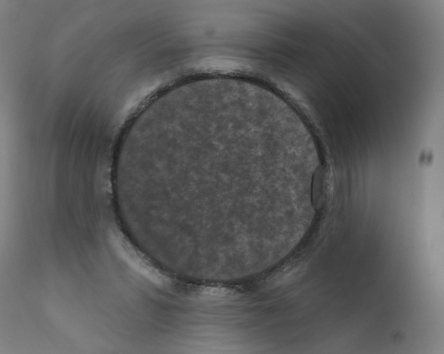 X0000110940399200907311022