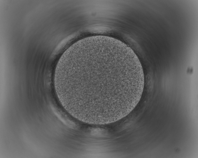 X0000110940400200907311021