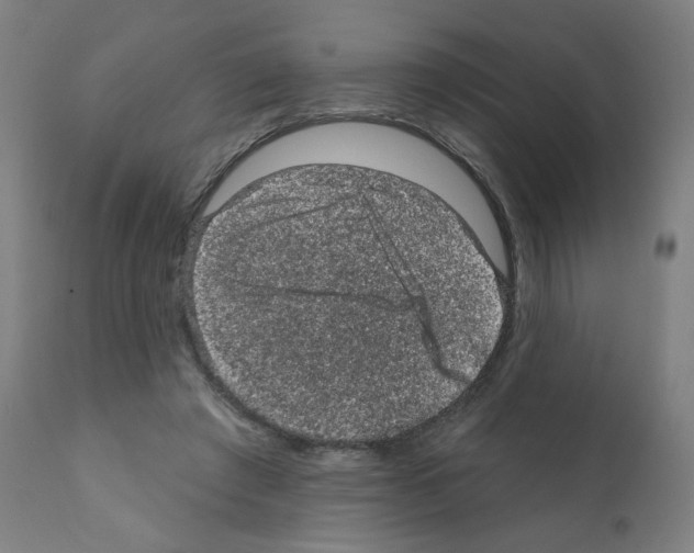 X0000110940401200907311021
