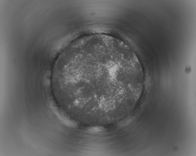 X0000110940402200907311021