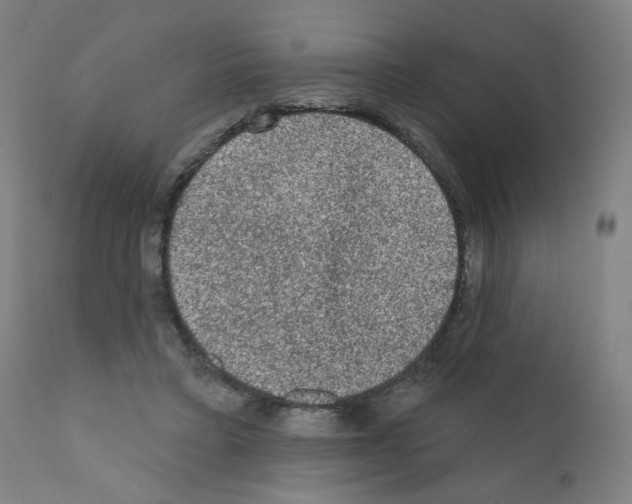 X0000110940403200907311021