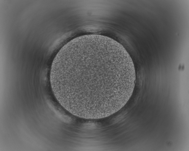 X0000110940404200907311021