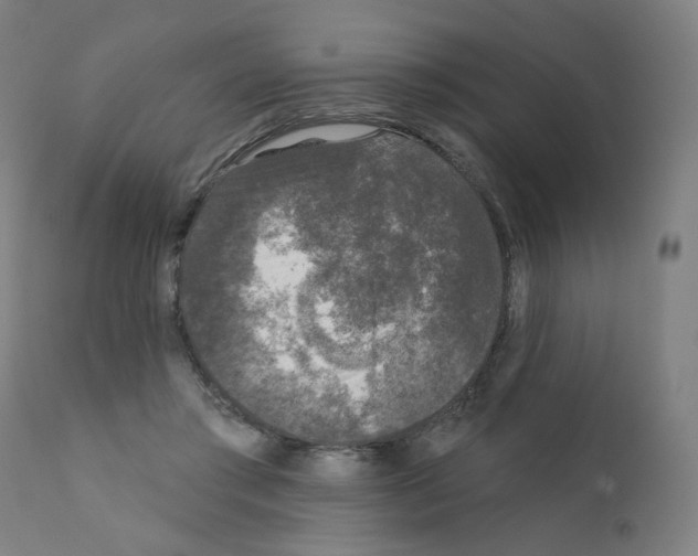 X0000110940405200907311021