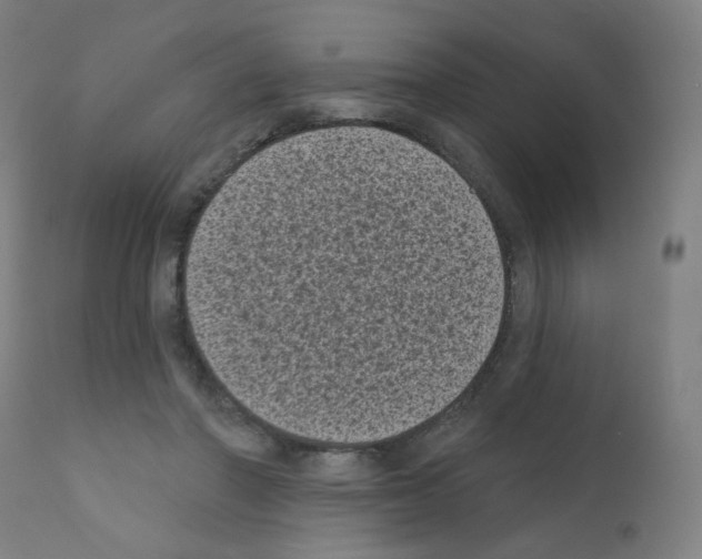 X0000110940406200907311021