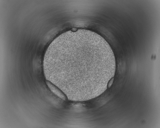 X0000110940407200907311021