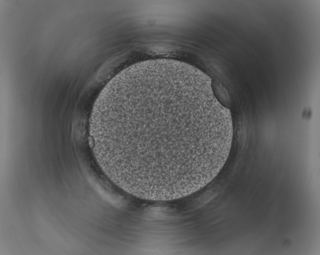 X0000110940408200907311021