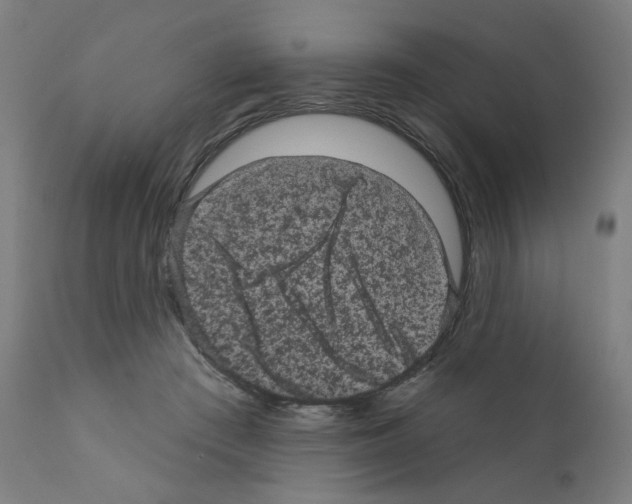 X0000110940409200907311021