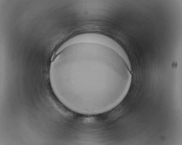 X0000110940411200907311021