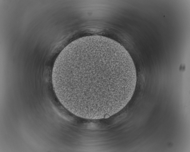 X0000110940412200907311021