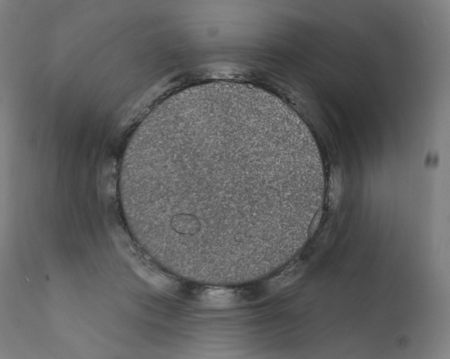 X0000110940413200907311021