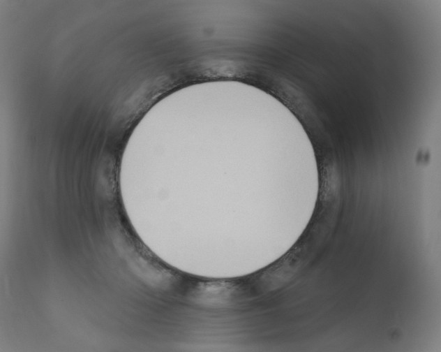 X0000110940414200907311021