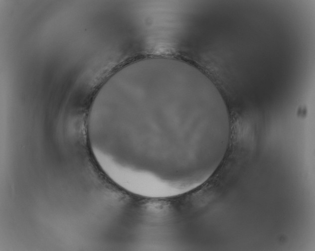X0000110940415200907311021