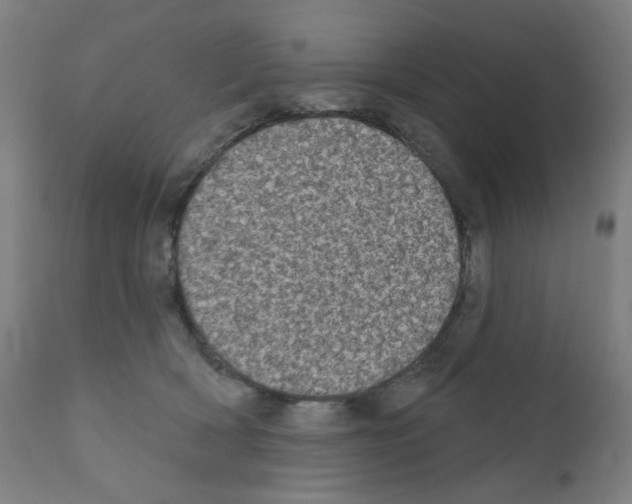 X0000110940418200907311021