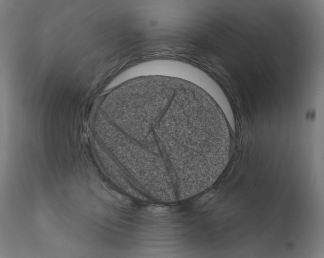 X0000110940419200907311021