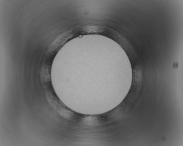 X0000110940422200907311021