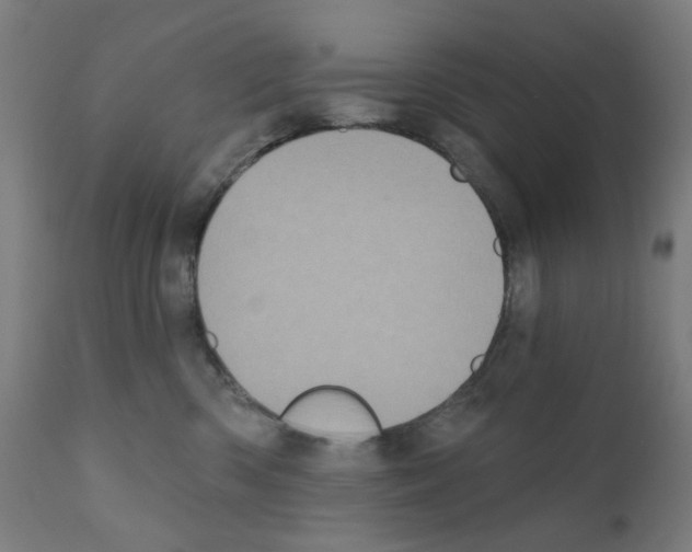 X0000110940426200907311021