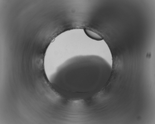 X0000110940427200907311021